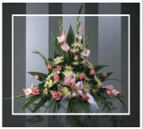 Expressions of Sympathy