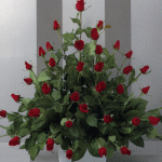 arrangement 203