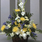 arrangement 204
