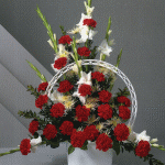 arrangement 205