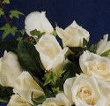 A bridal classic, the white rose is combined with a variety of favorite flowers to create a stunning selection of exquisite all-white bouquets.
