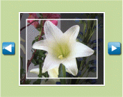 Craig's Flowers & Gifts - short slideshow